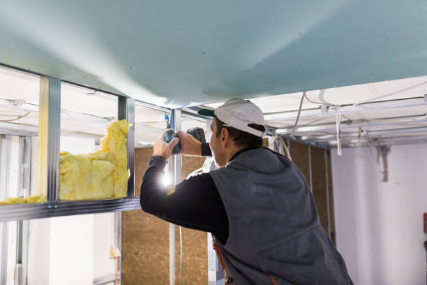 Best Soundproof Insulation Installation  in Storm Lake, IA