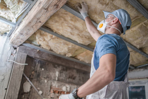 Insulation Inspection Services in Storm Lake, IA