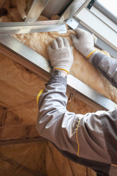 Best Insulation Inspection Services  in Storm Lake, IA