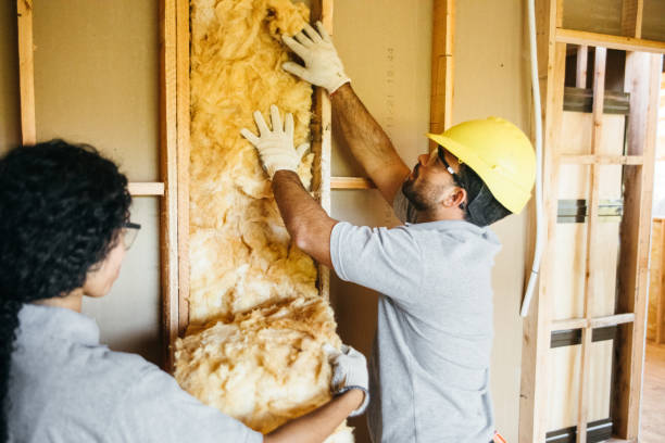 Best Energy-efficient Insulation  in Storm Lake, IA